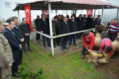 Mehmetçikler İçin Kurban Kesildi