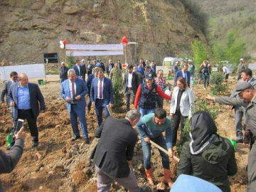 “Afrin Şehitleri Hatıra Ormanı” Kuruldu