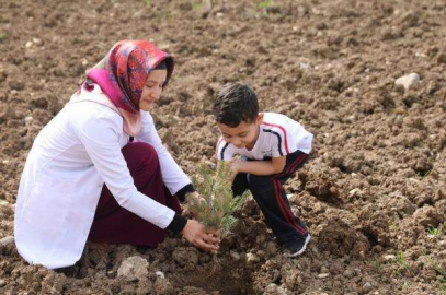 Öğrenciler Fidanları Toprak ile Buluşturdu