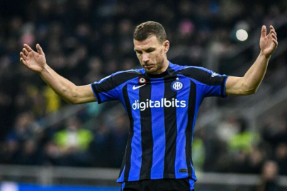 Edin Dzeko, Fenerbahçe'de