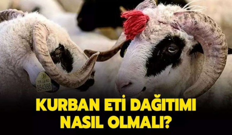 Kurban eti dağıtımı nasıl olmalı?