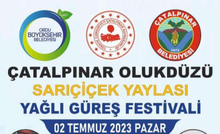 Çatalpınar festivale hazırlanıyor