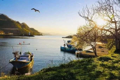 ARABİSTAN SICAĞI ORDU'YU ETKİLEMEYECEK