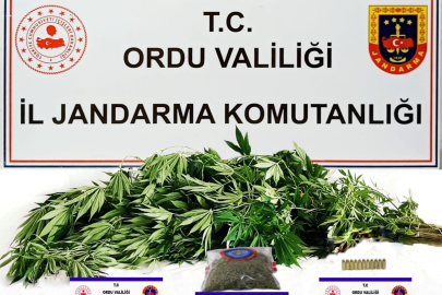 ORDU’DA UYUŞTURUCU OPERASYONU