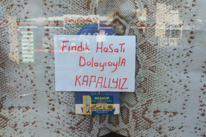 ESNAF, FINDIĞA GİTTİ