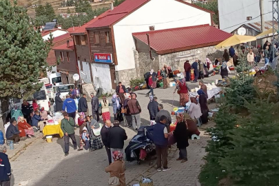 YAYLADA SONBAHAR YOĞUNLUĞU