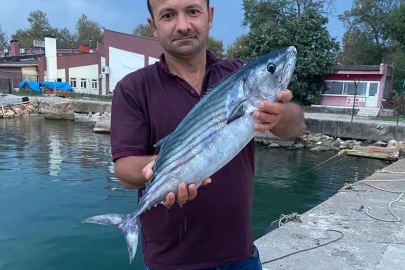 TORİK YÜZ GÜLDÜRDÜ! BALIKÇILAR BURADAN BOŞ DÖNMÜYOR