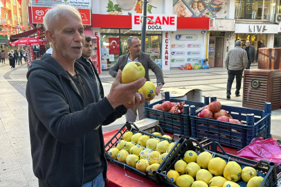 AYVAYI SAKIN METAL BIÇAKLA KESMEYİN