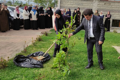 İHTİSAS MERKEZİNDE ÇINAR FİDANLARI DİKİLDİ