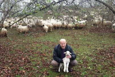 SÜRÜLERİN YAYLALARDAN DÖNÜŞÜ BAŞLADI