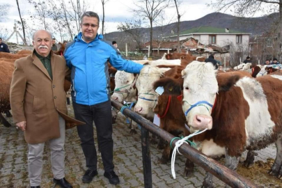 ORDU’DA BÜYÜBAŞ VE KÜÇÜKBAŞ HAYVAN DAĞITIMI YAPILDI