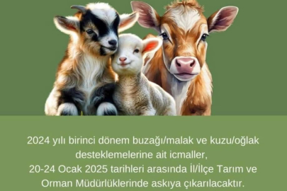 DESTEK ÖDEMELERİ İCMALLERİ YAYINLANDI