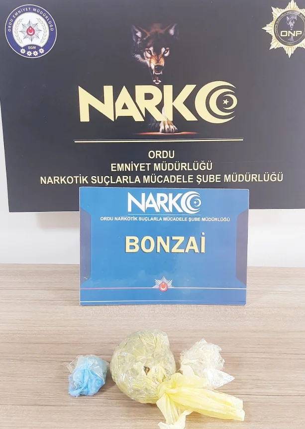 Torbacılra Dev Operasyon!